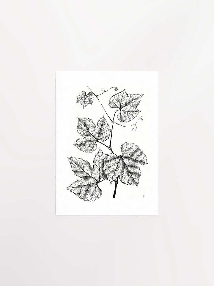 Enchanted Vine: Premium Matte Poster - Grape Leaves product image (1)