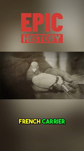 A tiny messenger bird risked everything for the soldiers at Verdun. Discover how one courageous pigeon saved lives in humanit...