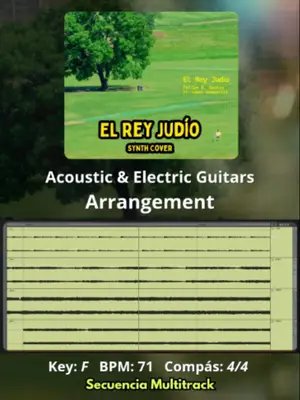🎸 Acoustic & Electric Guitars Arrangement de 