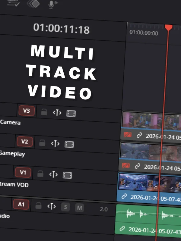 Multi-track Video Demuxer Script product image (1)