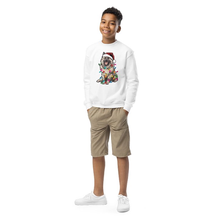 Funny Christmas Keeshond(Brown) Youth Sweatshirt product image (1)