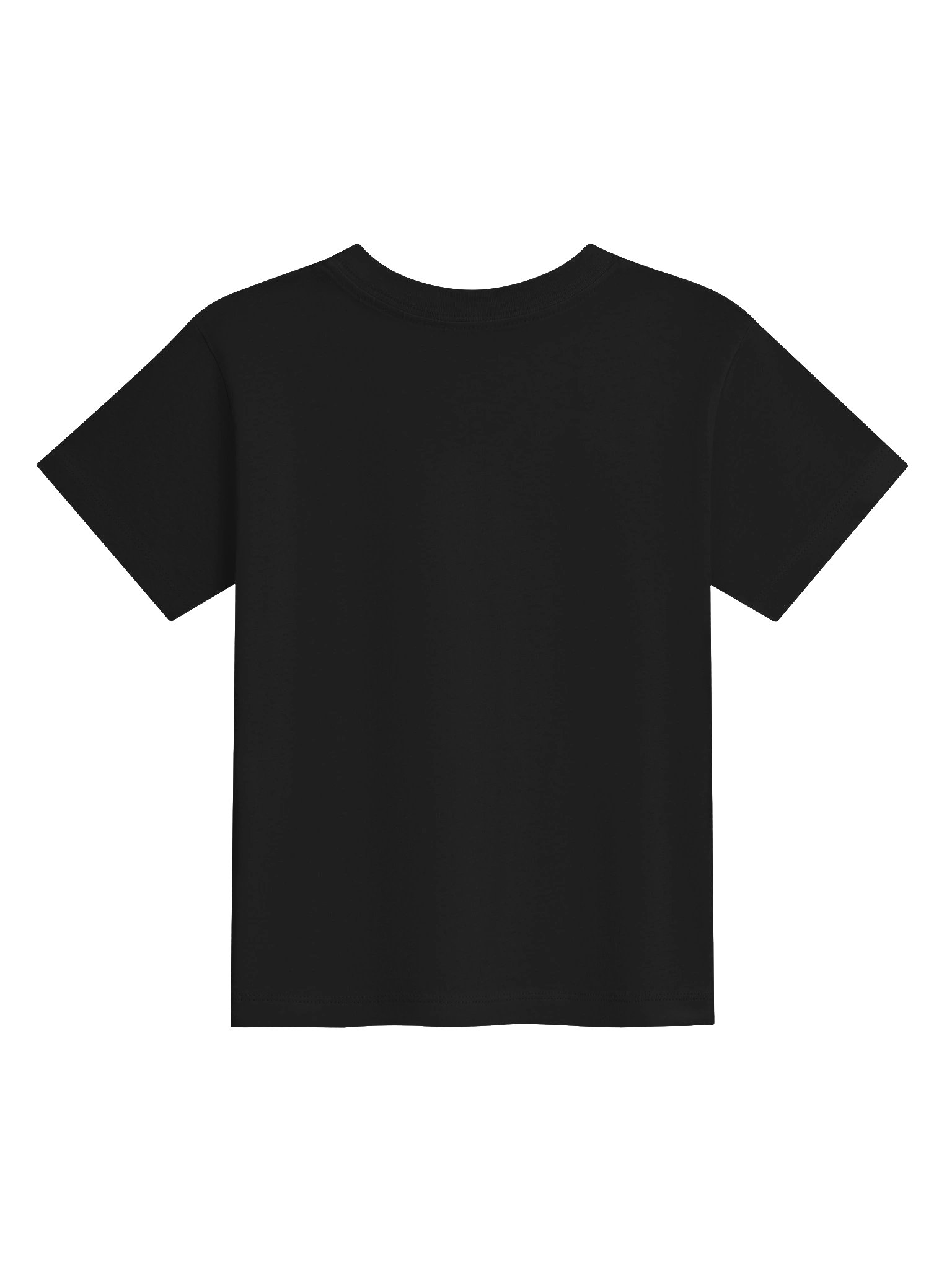 Proverbs 22:6 Classroom Toddler Tee product image (5)