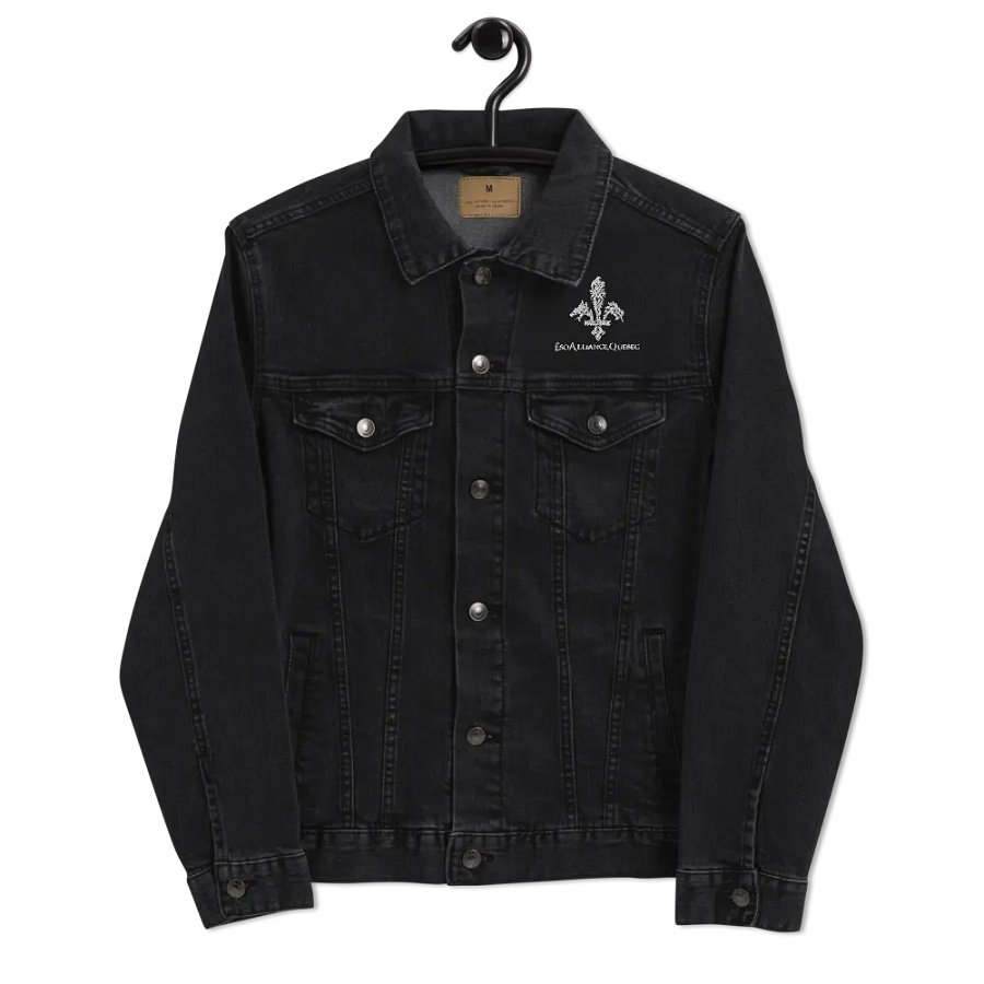 Veste en Jeans | Brodé product image (6)