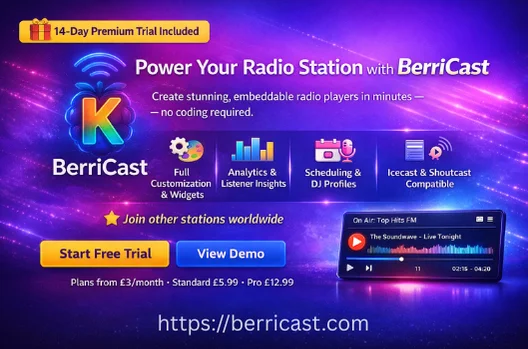 Website Radio Player product image (1)