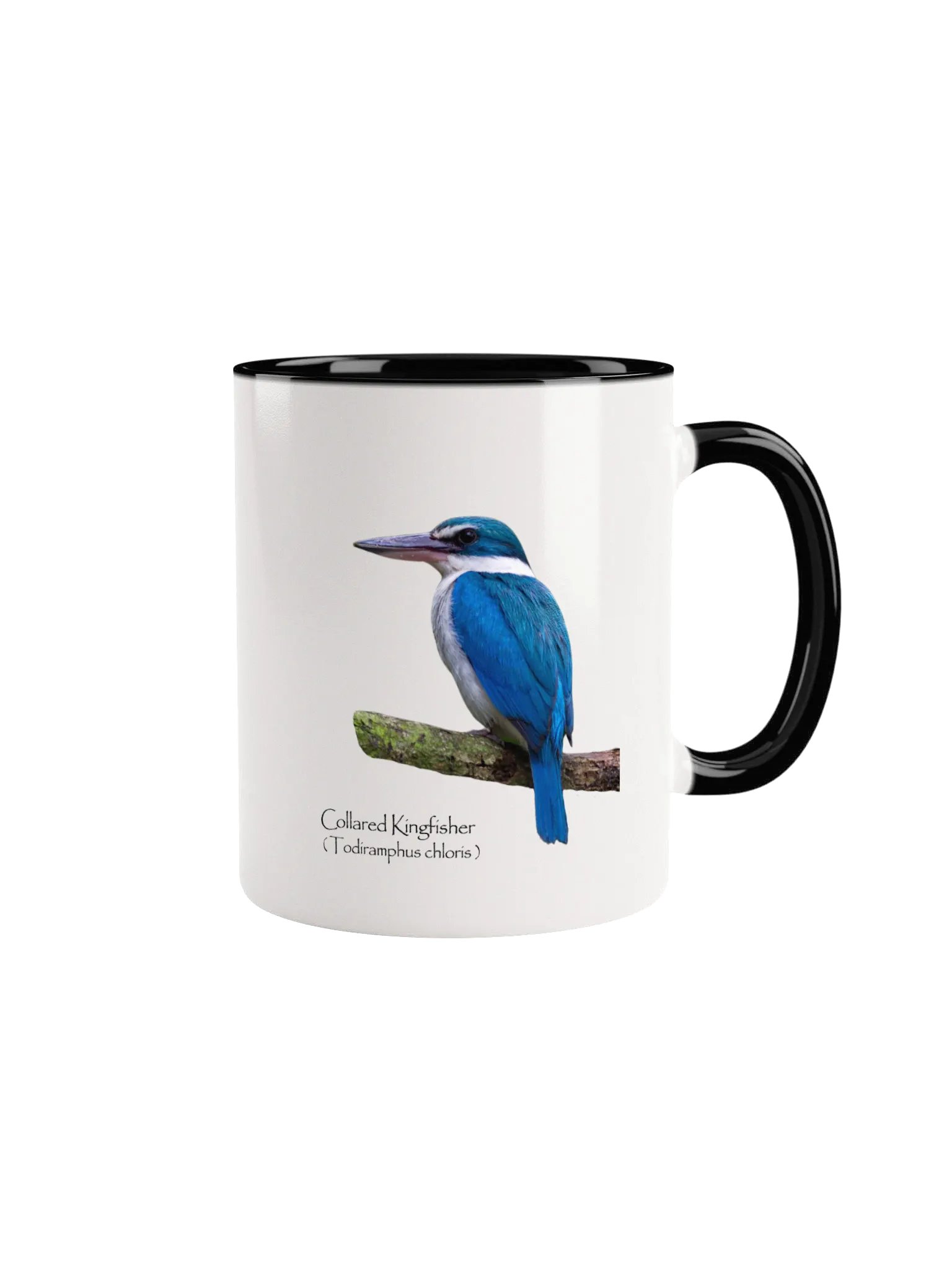 Collared Kingfisher mug product image (3)