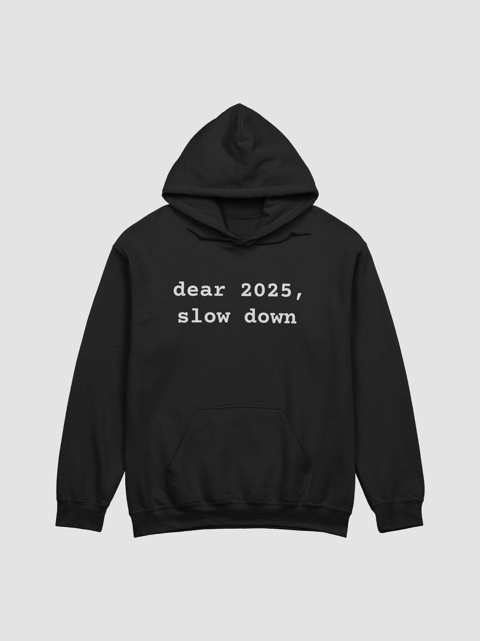 Funny 2025 Classic Hoodie - dear 2025, slow down product image (1)