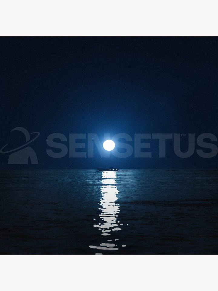 Night Owls License product image (1)