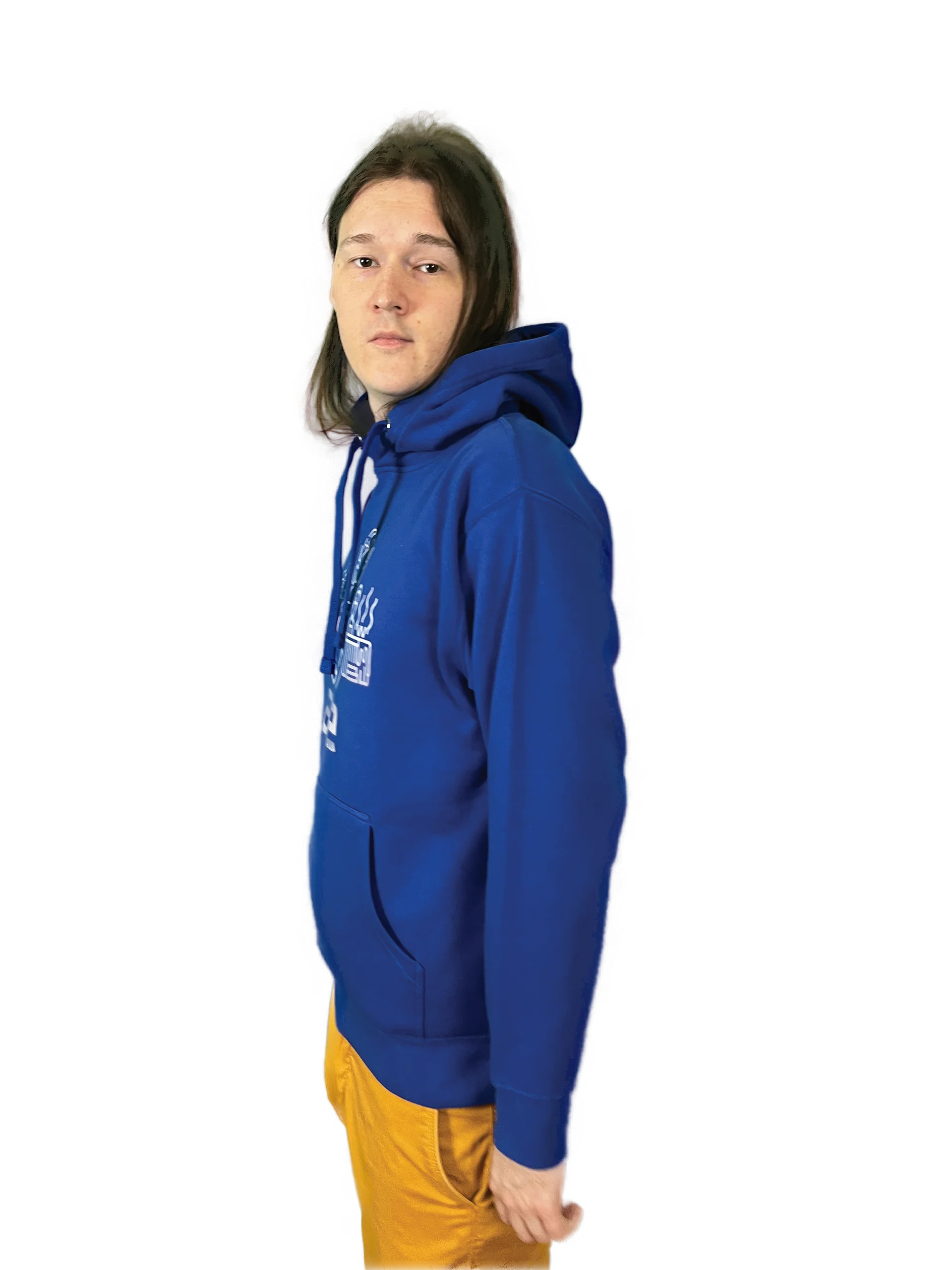 The spa named AE hood hoodie //DTFx heavyweight\\ product image (6)