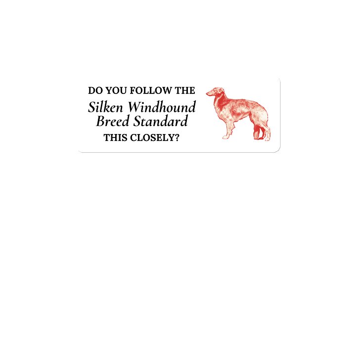 Do You Follow the Standard - Magnet product image (1)