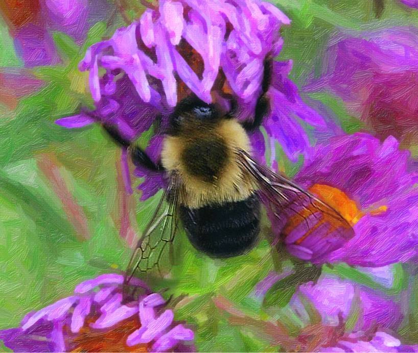 Bumble Bee wall art product image (1)
