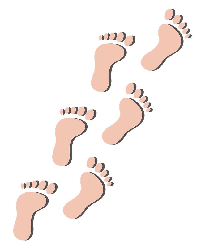 Guide My Steps Today