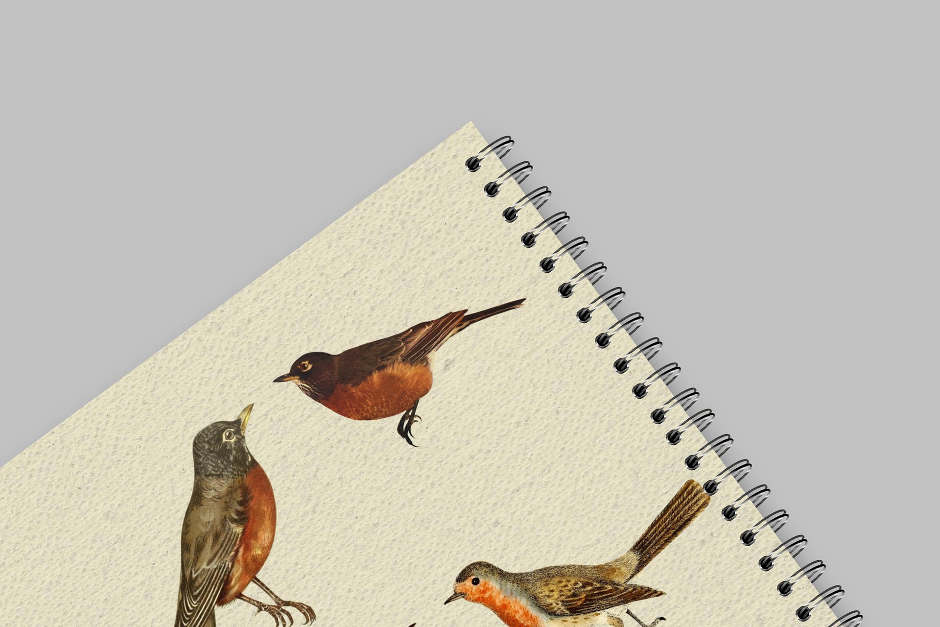 Robin Spiral-bound Notebook product image (7)