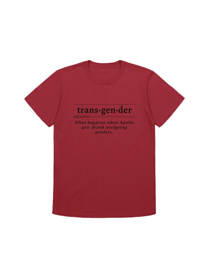 Transgender Def Unisex Tee v2 product image (1)