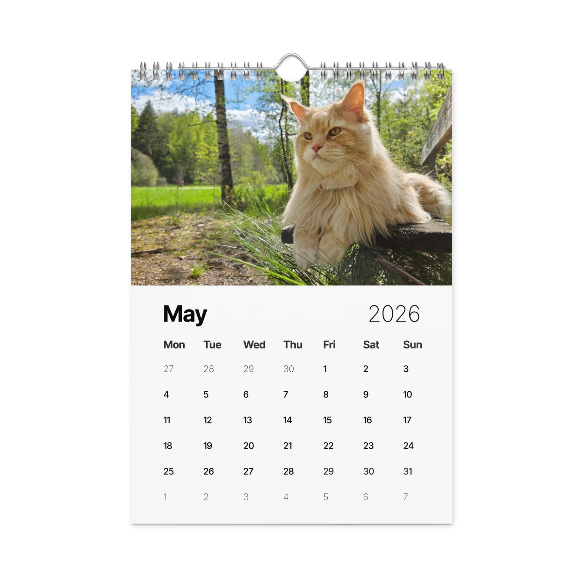 2026 Calendar - Maine Coon Adventures + Kittens product image (6)