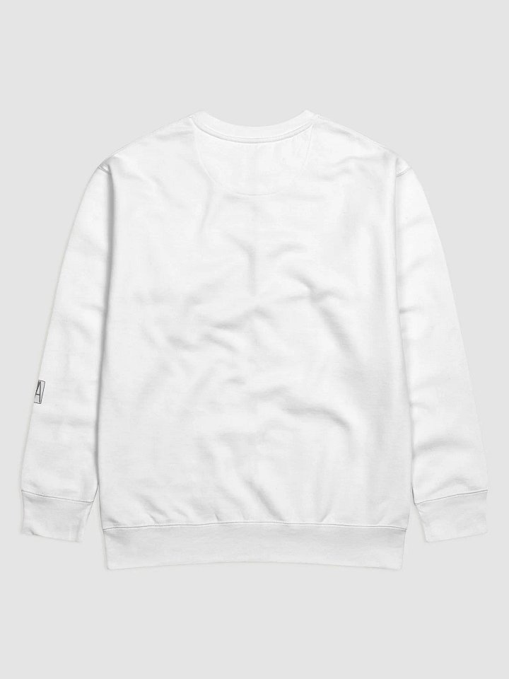 Creepy critters: Racoony-looney, Sweatshirt product image (3)