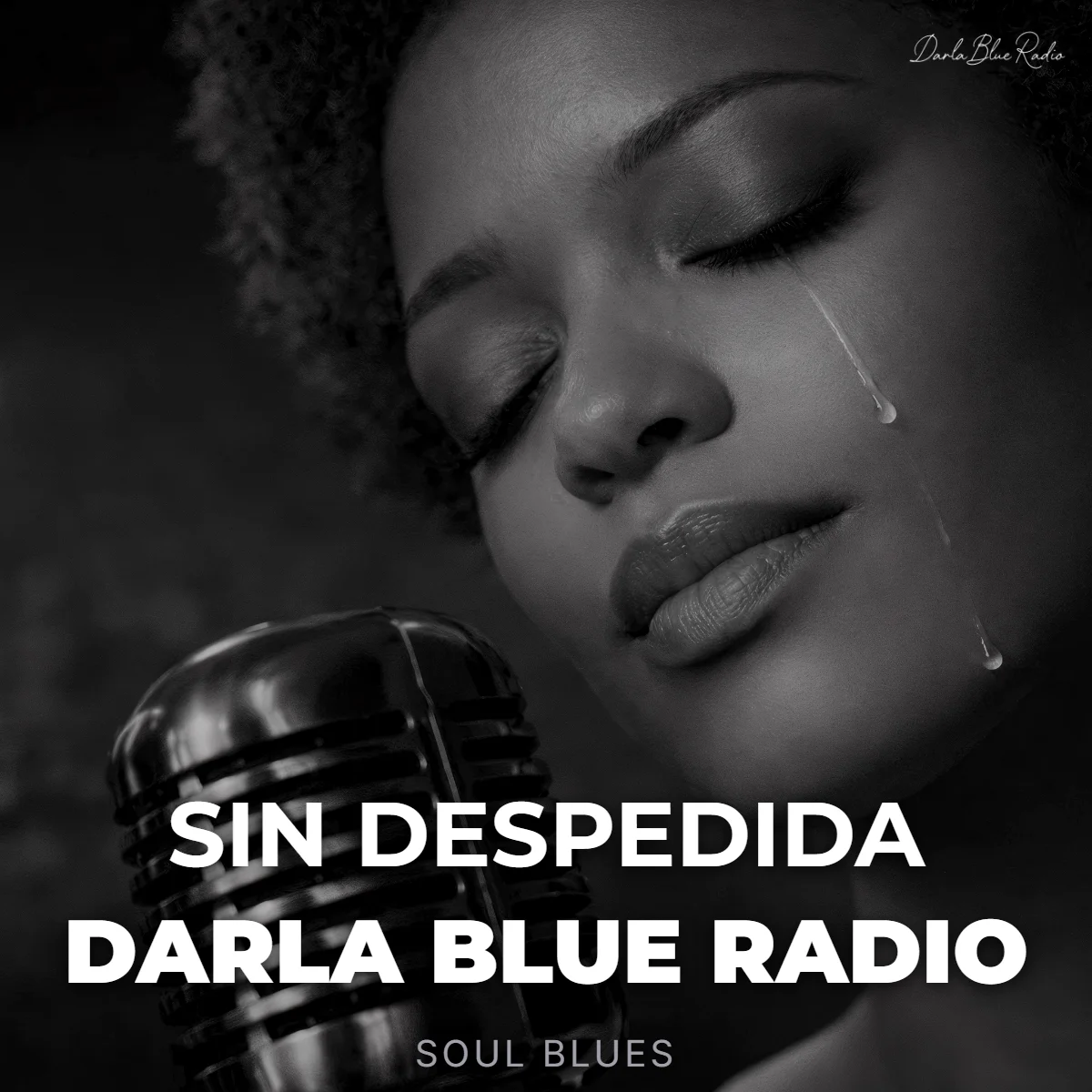 Sin Despedida - Darla Blue Radio (Soul Blues) | Descarga Digital product image (1)