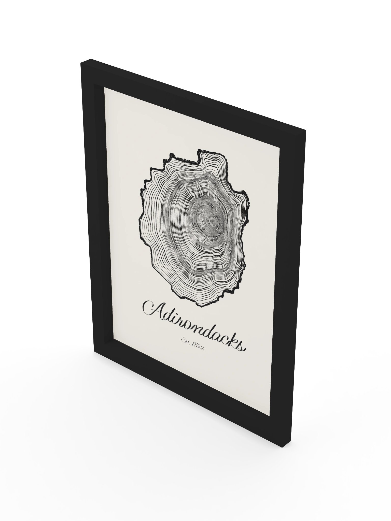 Adirondack Park Tree Ring Framed Print product image (16)