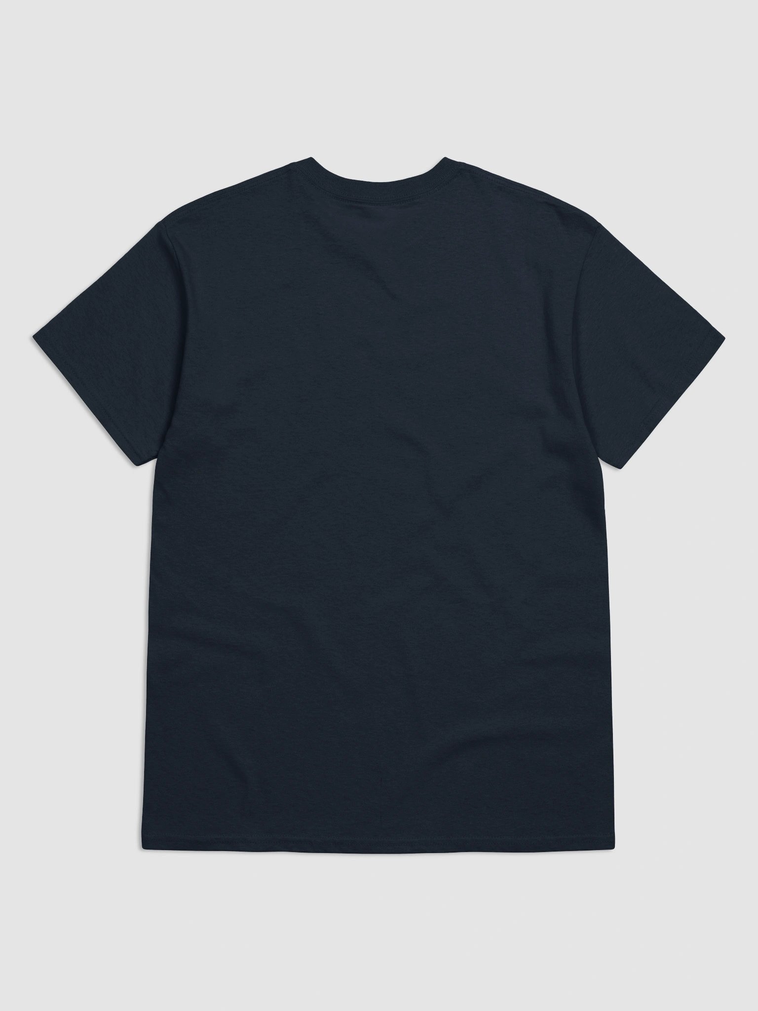 Let me consult my orb - wizard raccoon t-shirt product image (6)