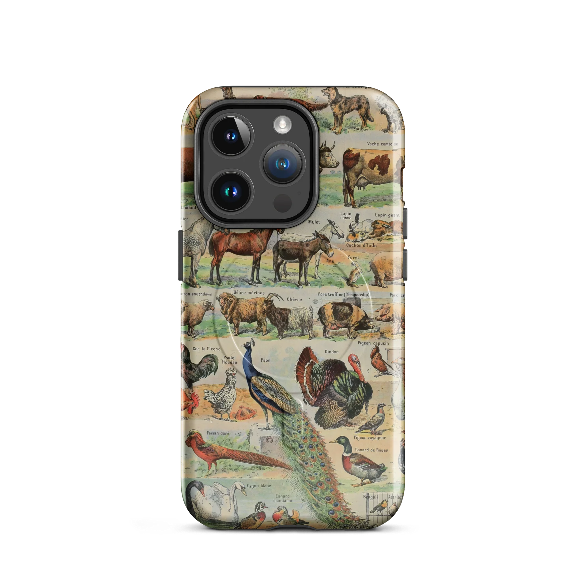 Vintage Animal Chart Tough iPhone® MagSafe® Case product image (8)