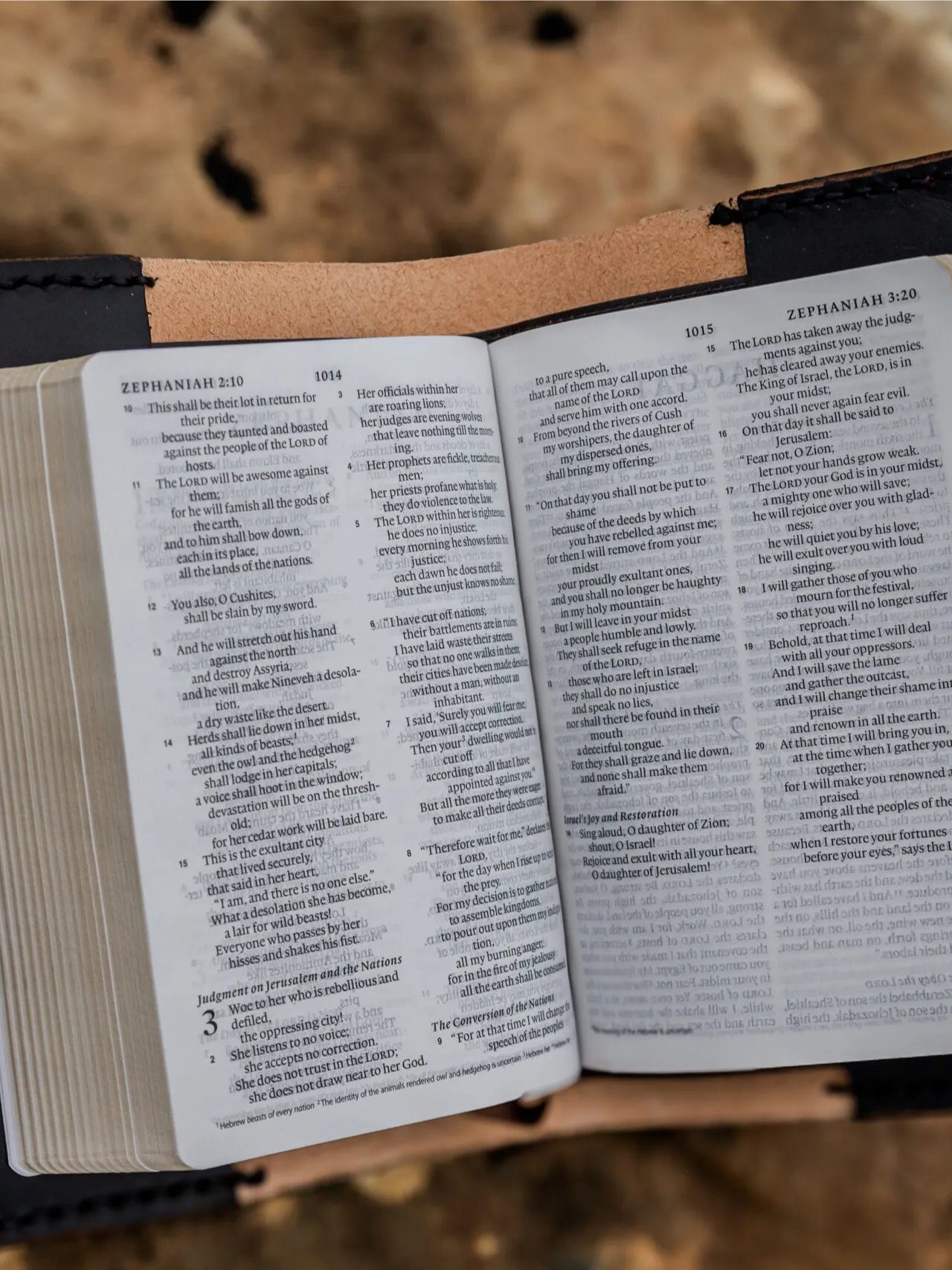 Swords Bible product image (4)