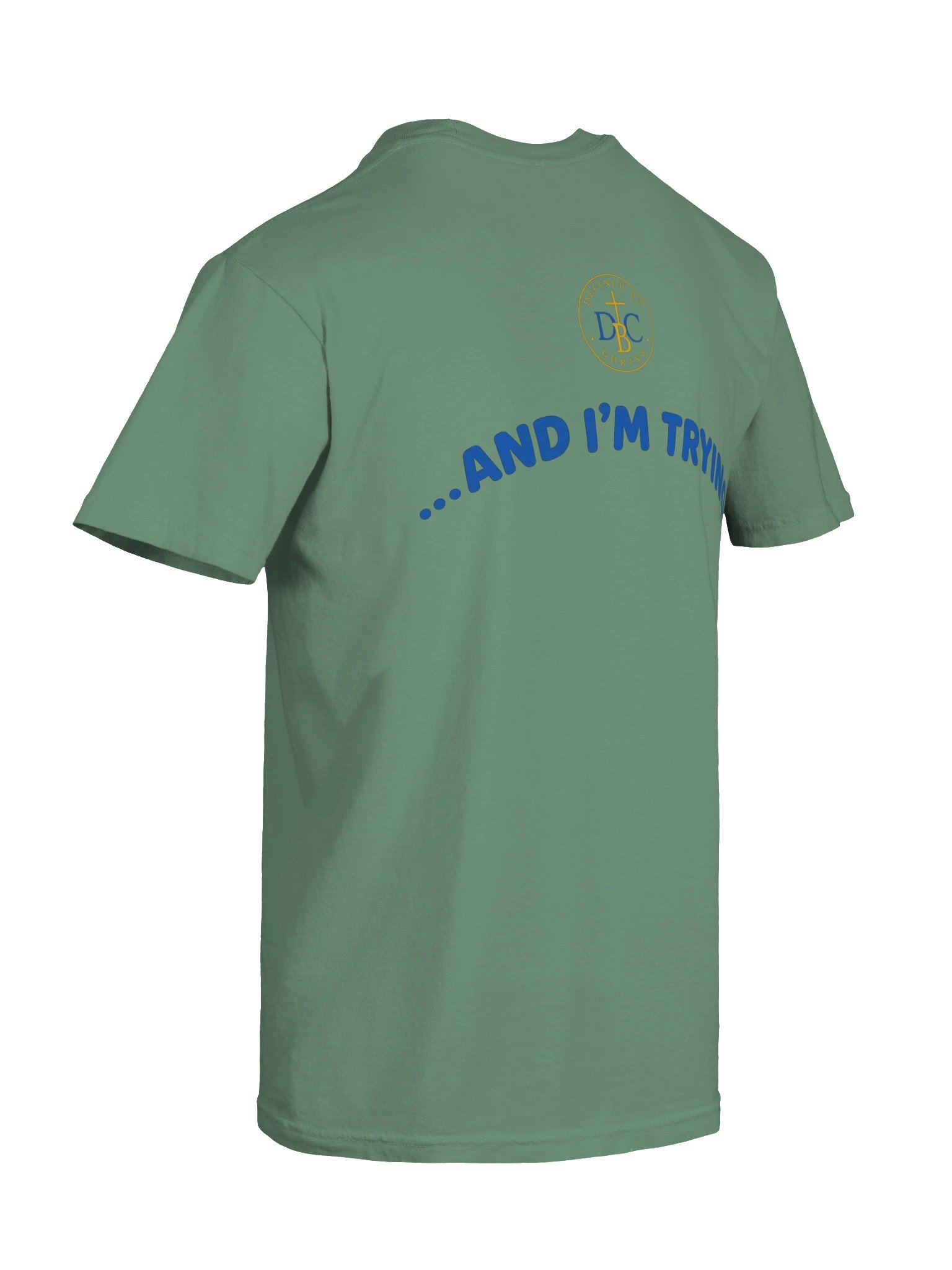 Lyrical Lifestyles: I'm Trying product image (8)