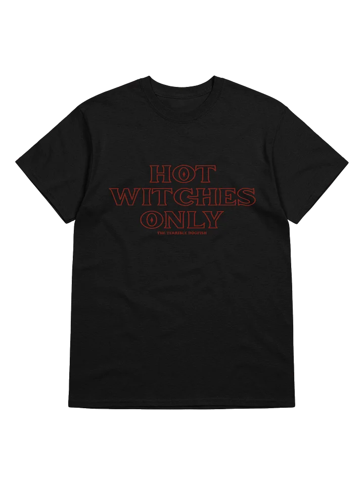 HOT WITCHES ONLY - tee product image (1)