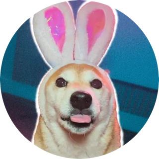 Eevee Bork Merch Shop