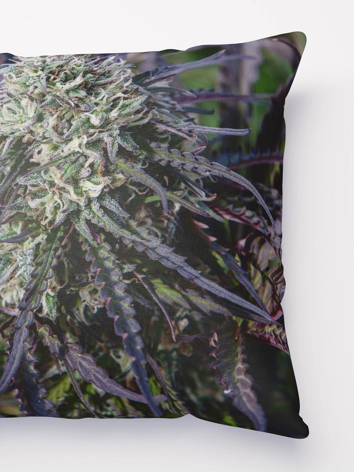 Royal Purple Cultivated Pillow product image (4)