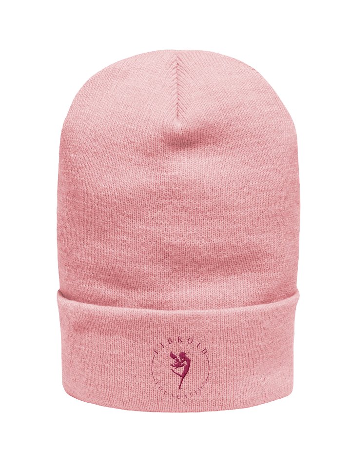 Classic Logo Beanie product image (1)