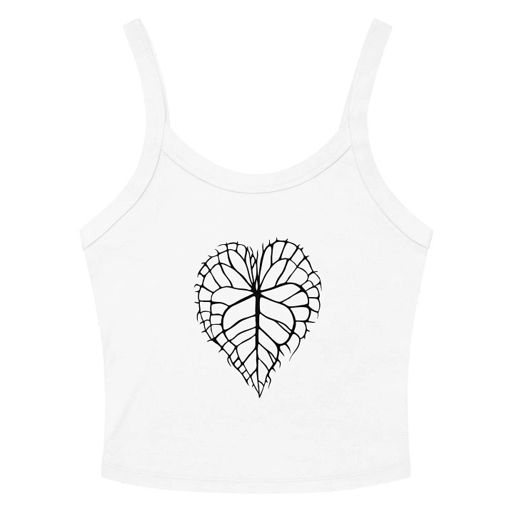 ANTHURIUM CLARINERVIUM SKELETON - Mid-Length Tank product image (14)