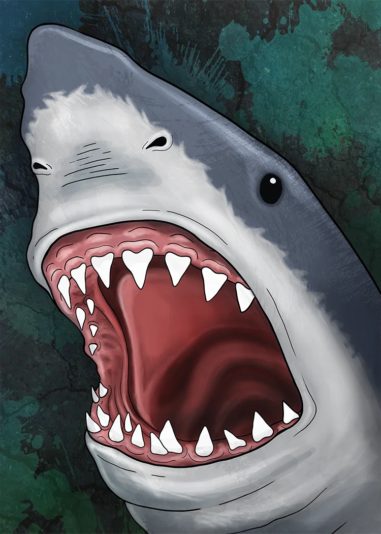 OG Shark on the Fridge Magnet product image (4)