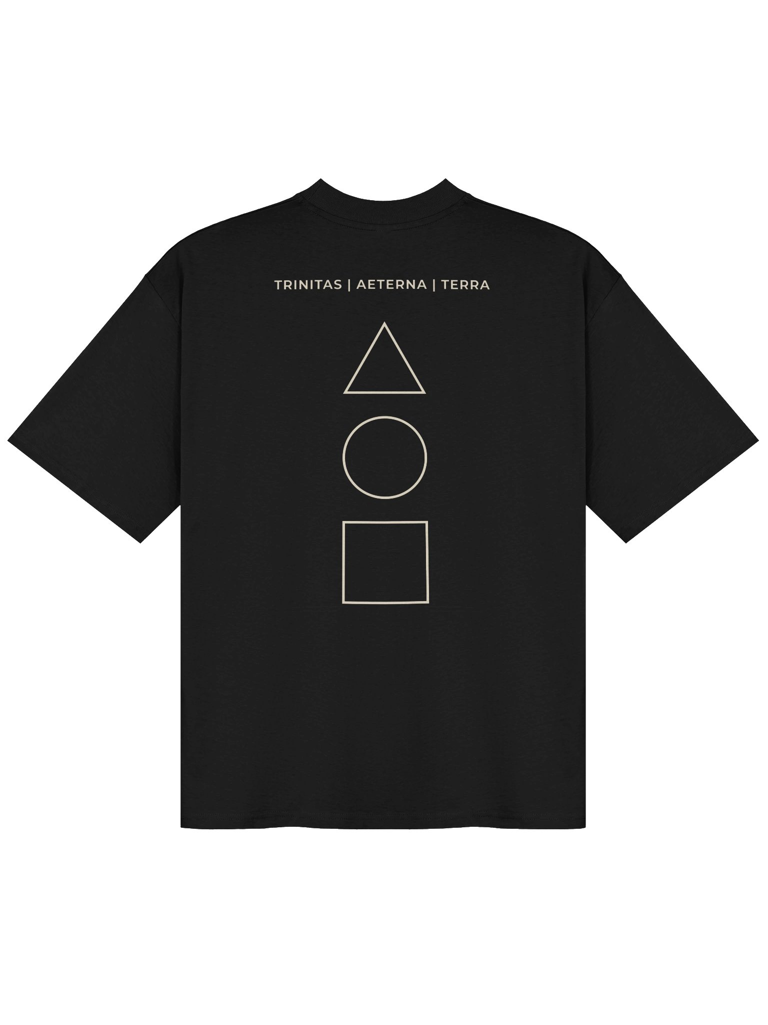AXIS MUNDI ORGANIC OVERSIZED UNISEX TEE product image (1)