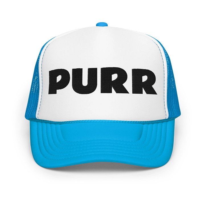 Embroidered PURR Hat - Black Thread Collection product image (6)