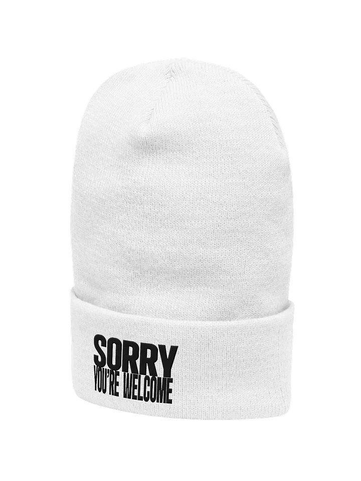 Sorry, You're Welcome (Embroidered Beanie) product image (2)