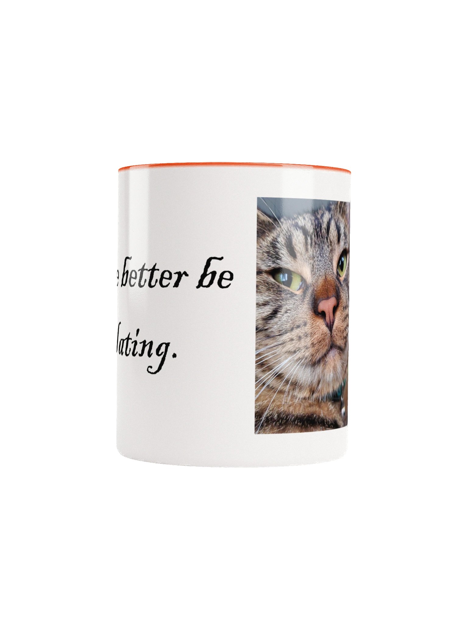 Gar Purr-colating Ceramic 11oz Mug 1 product image (24)