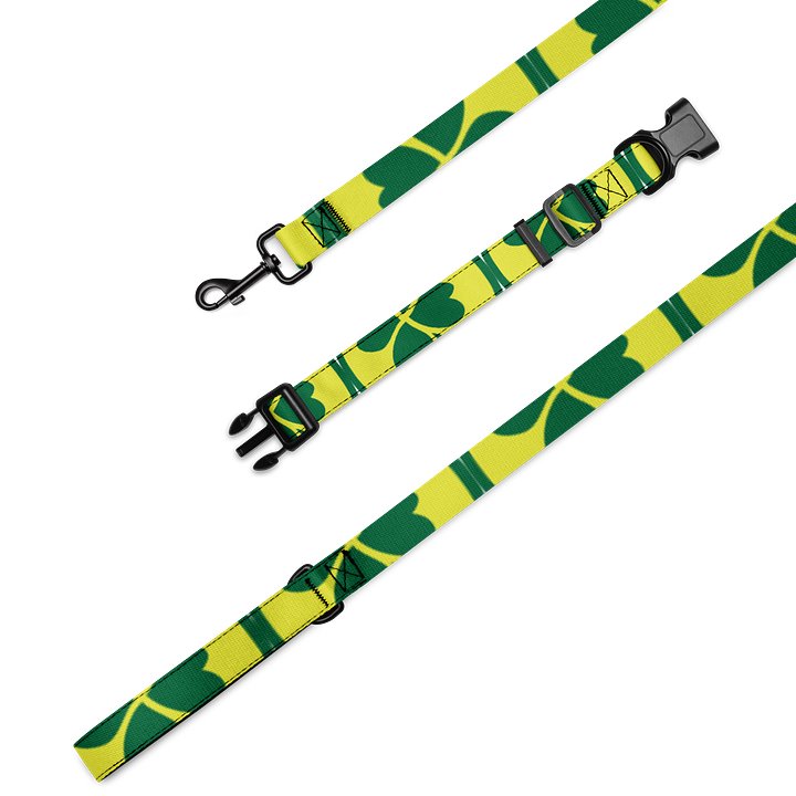 Pet Collar & Leash Set product image (1)