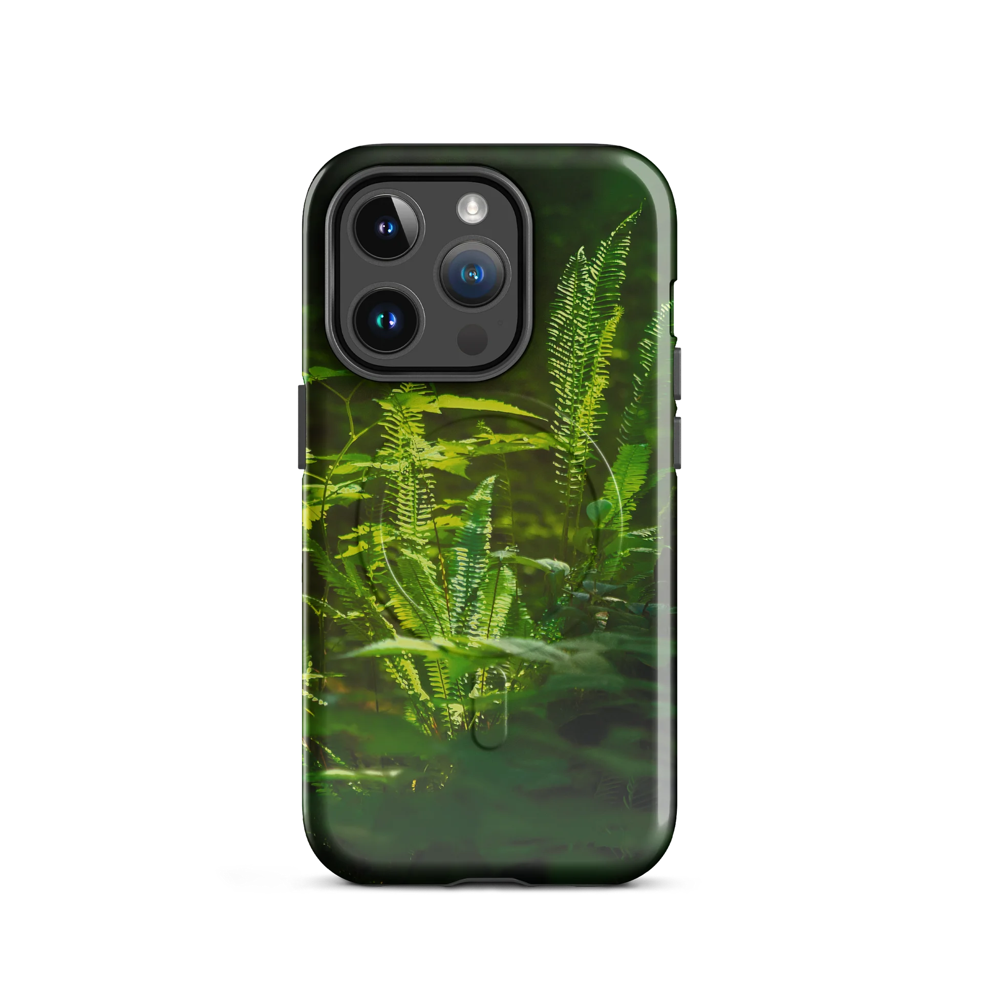 Sunlight dancing through the woods product image (2)