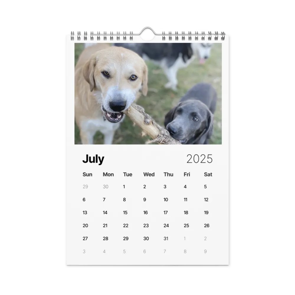 2025 Doggo Calendar product image (7)