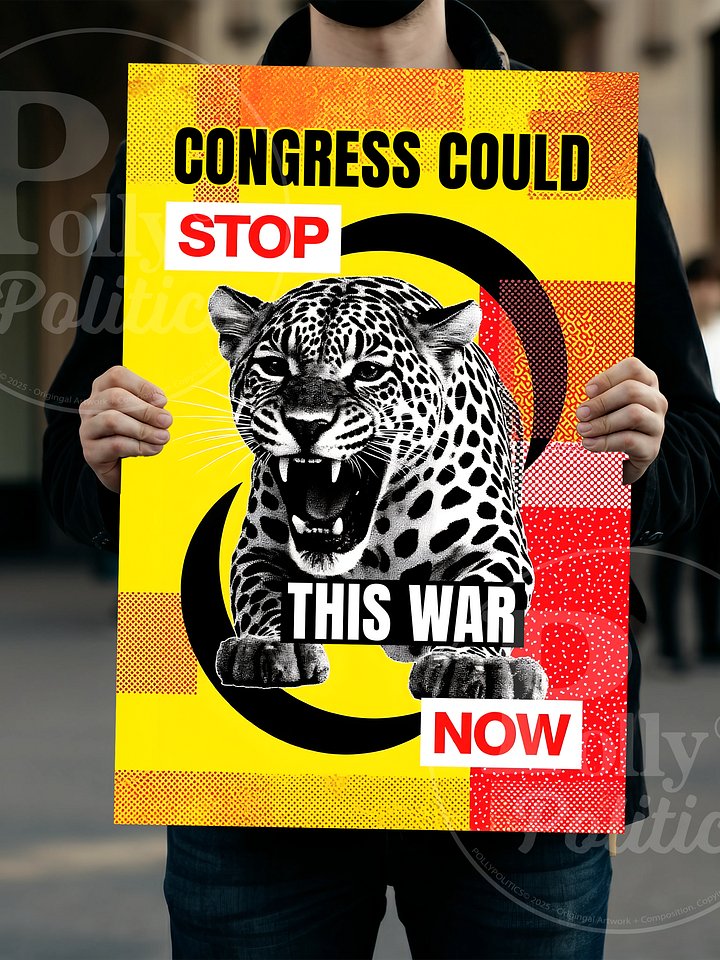 Congress Could Stop This Now Protest Sign product image (1)