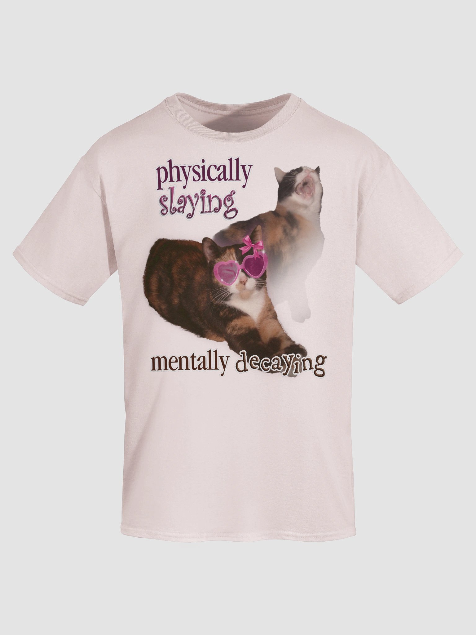 Physically Slaying Mentally Decaying - Cat T-shirt product image (7)