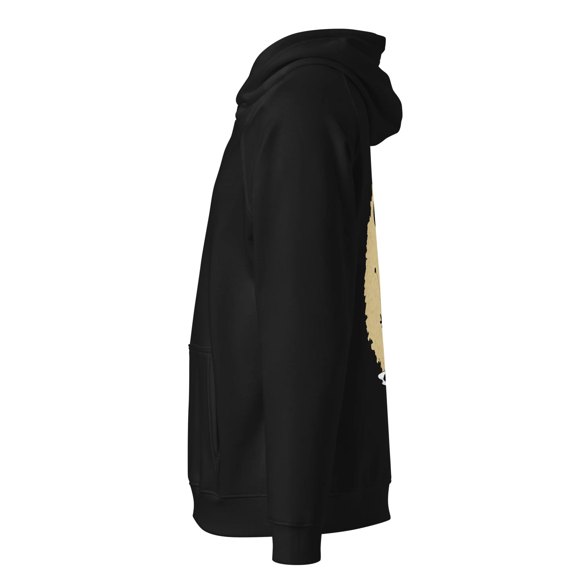 SOL'S Unisex Eco Raglan Hoodie product image (3)