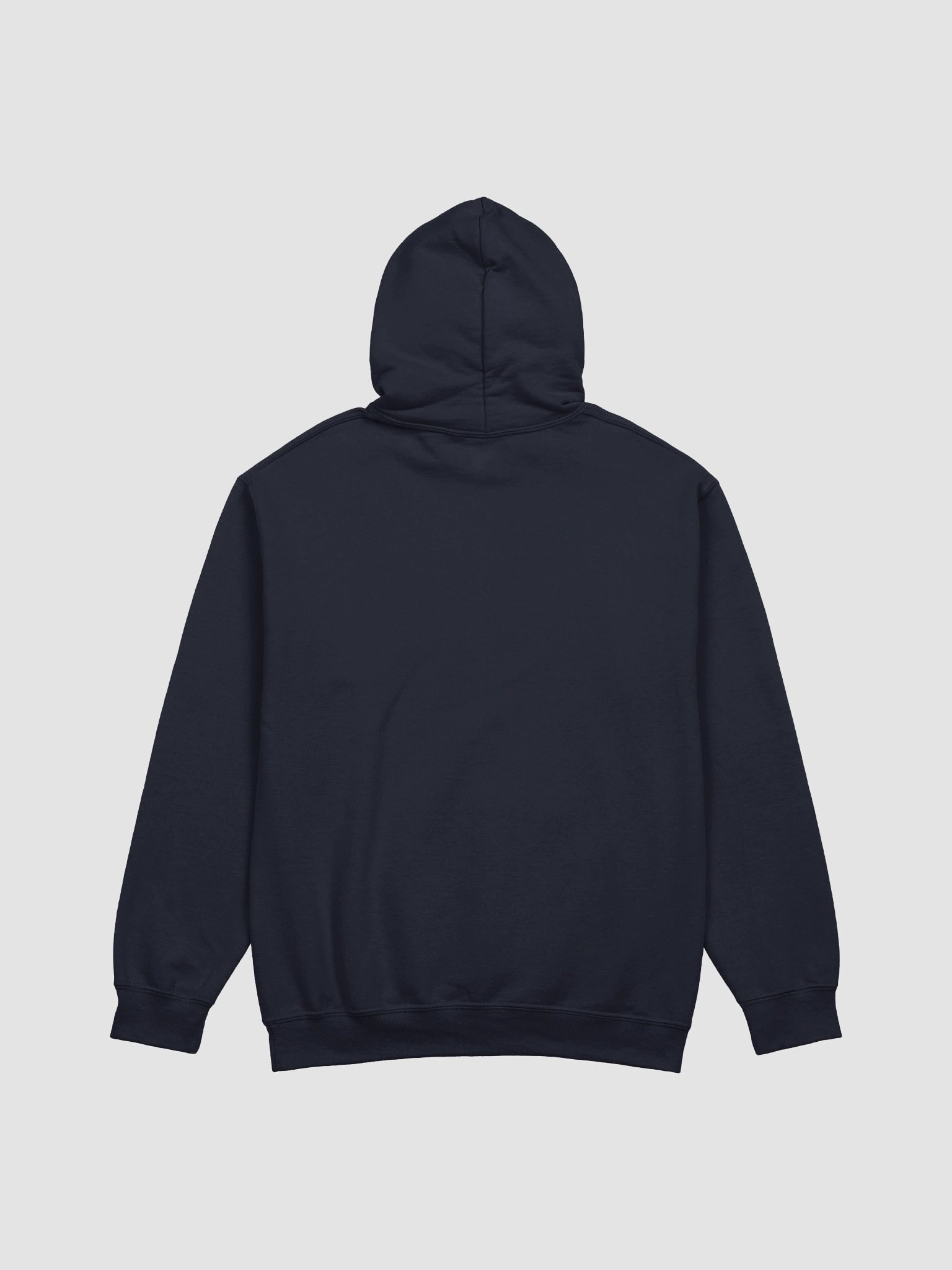 Live in the NOW Cat Lovers AA sobriety & Recovery Hoodie product image (3)