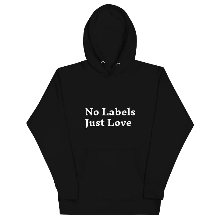 No Labels Just Love Premium Hoodie product image (2)
