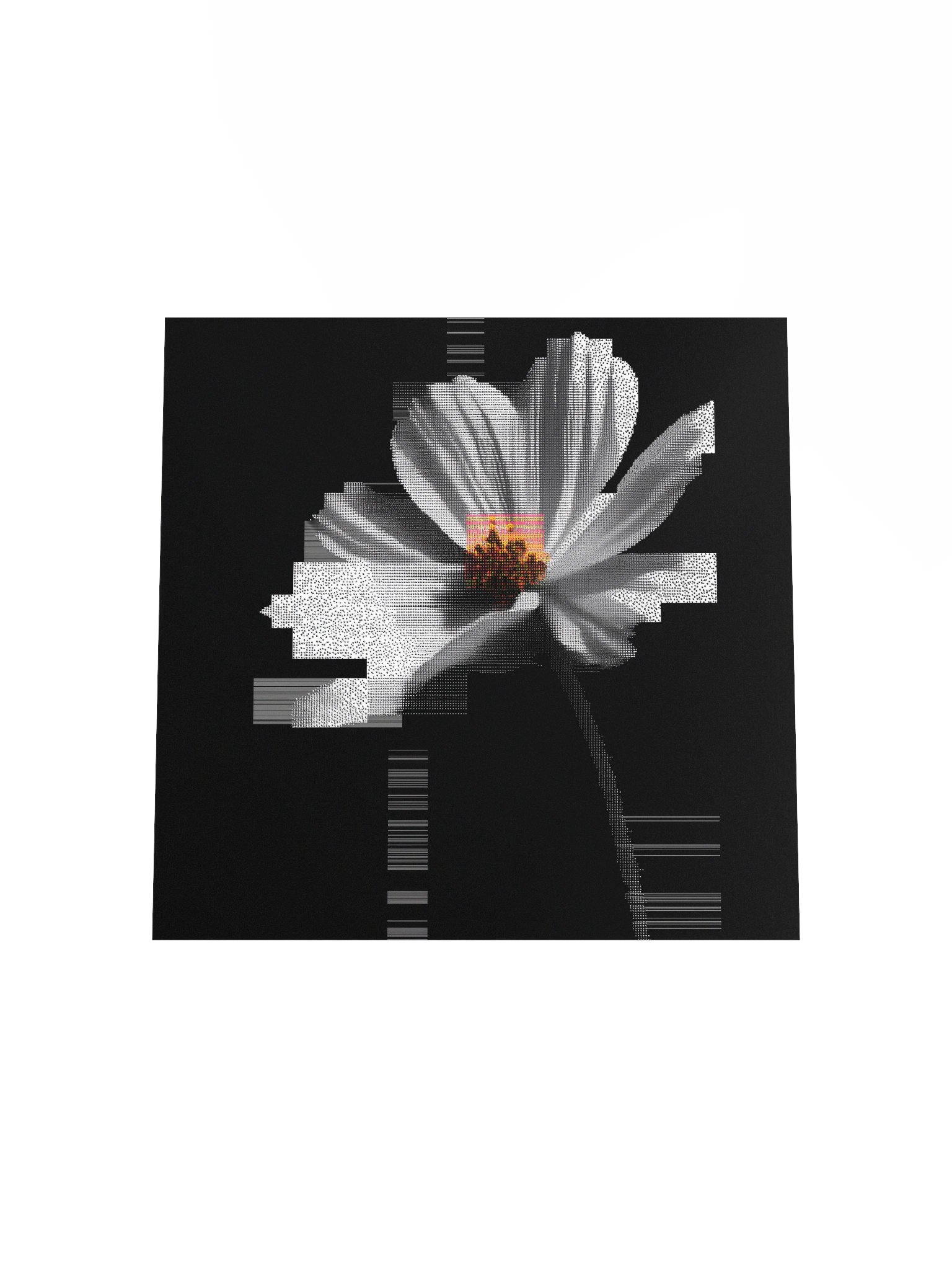 Flora.exe product image (19)