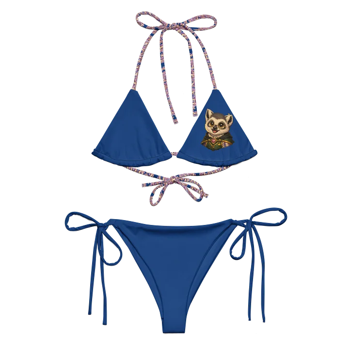 Kingdom Treasurer Recycled Bikini Set product image (2)