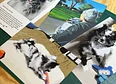 Pom Post News's tag thumbnail