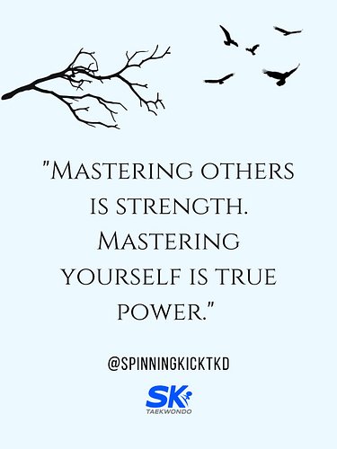 The hardest opponent is the one in your head.
#Taekwondo #MentalGame #SpinningKickTKD #MindOverMatter