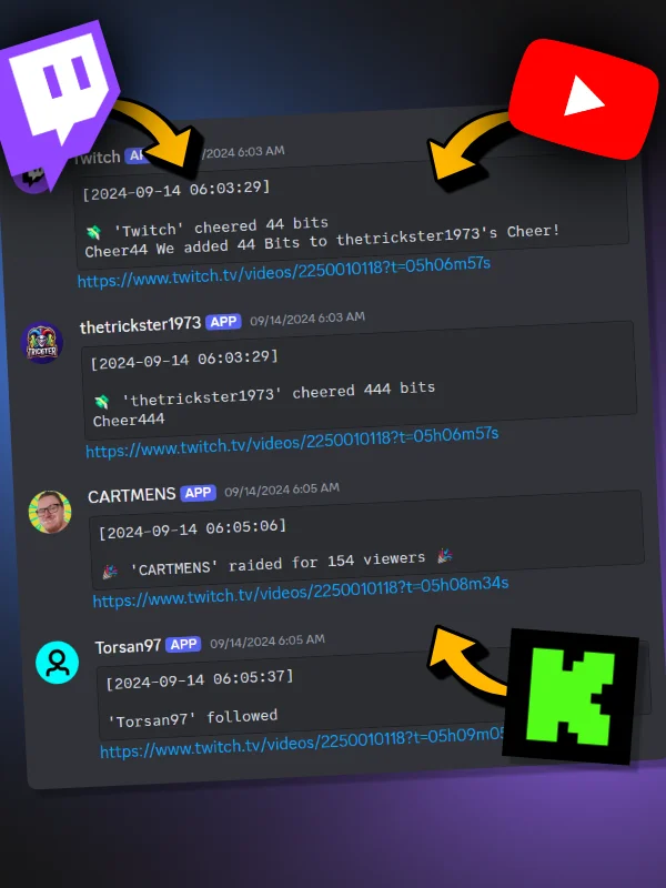 Discord Stream Logger product image (1)