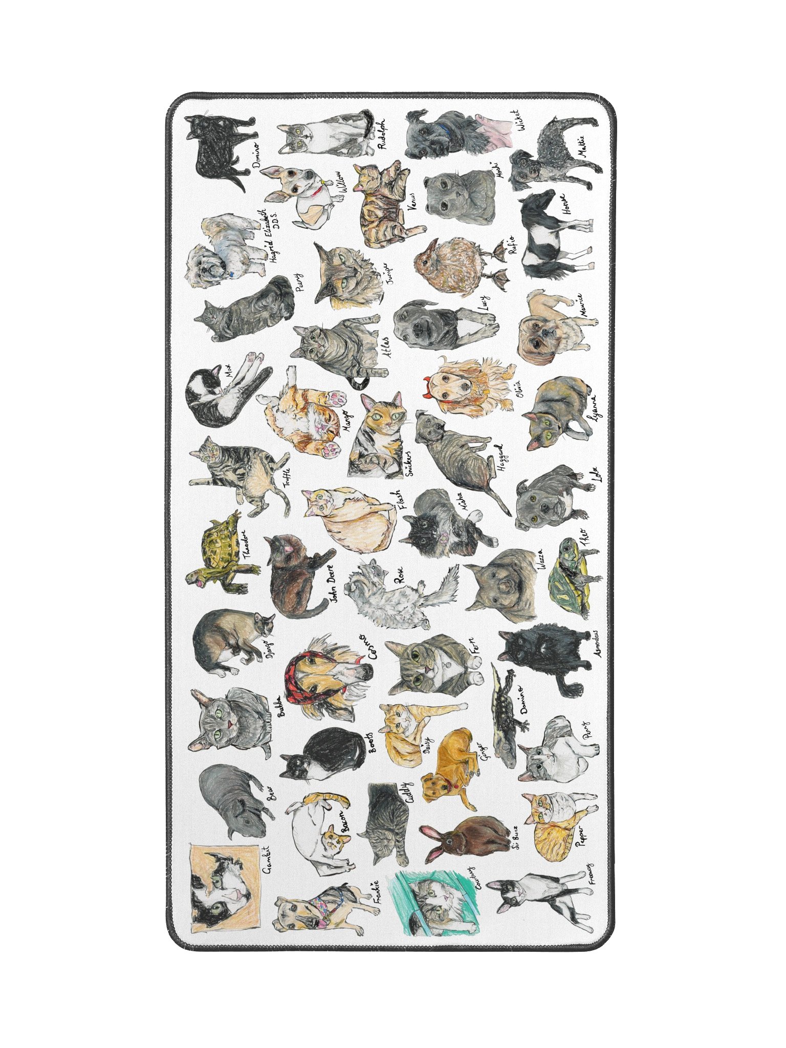 Scriggly pet desk mat product image (2)