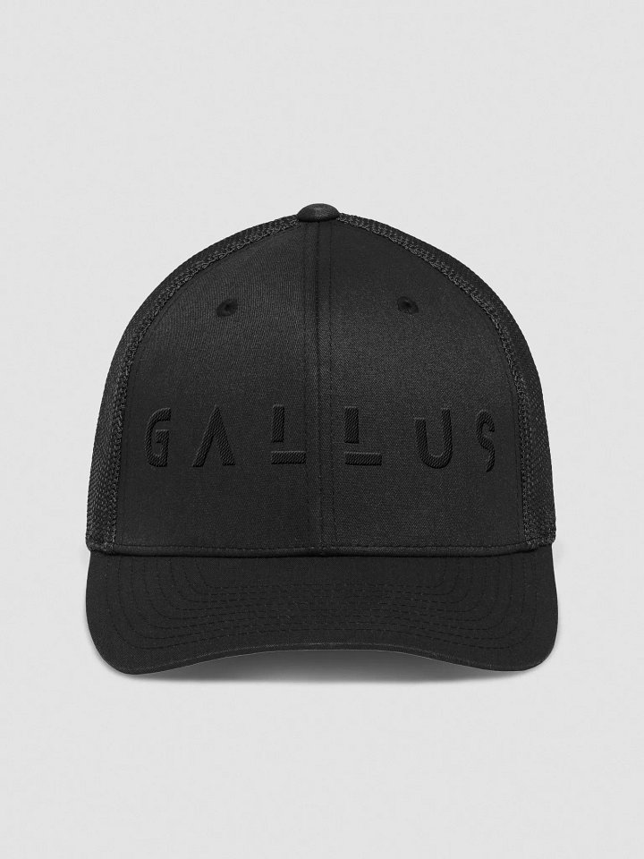 Gallus 2025 Collection product image (1)